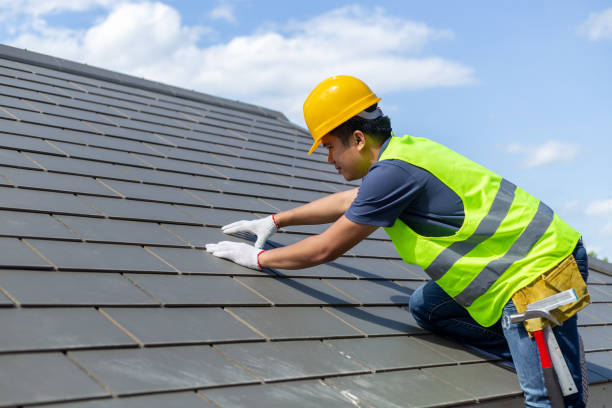 Best Metal Roofing Installation  in Collins, MS