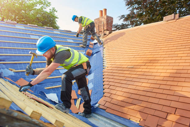 Best Solar Panel Roofing Installation  in Collins, MS